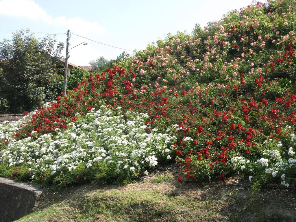 Locanda Dell'Arte Solonghello ภายนอก รูปภาพ